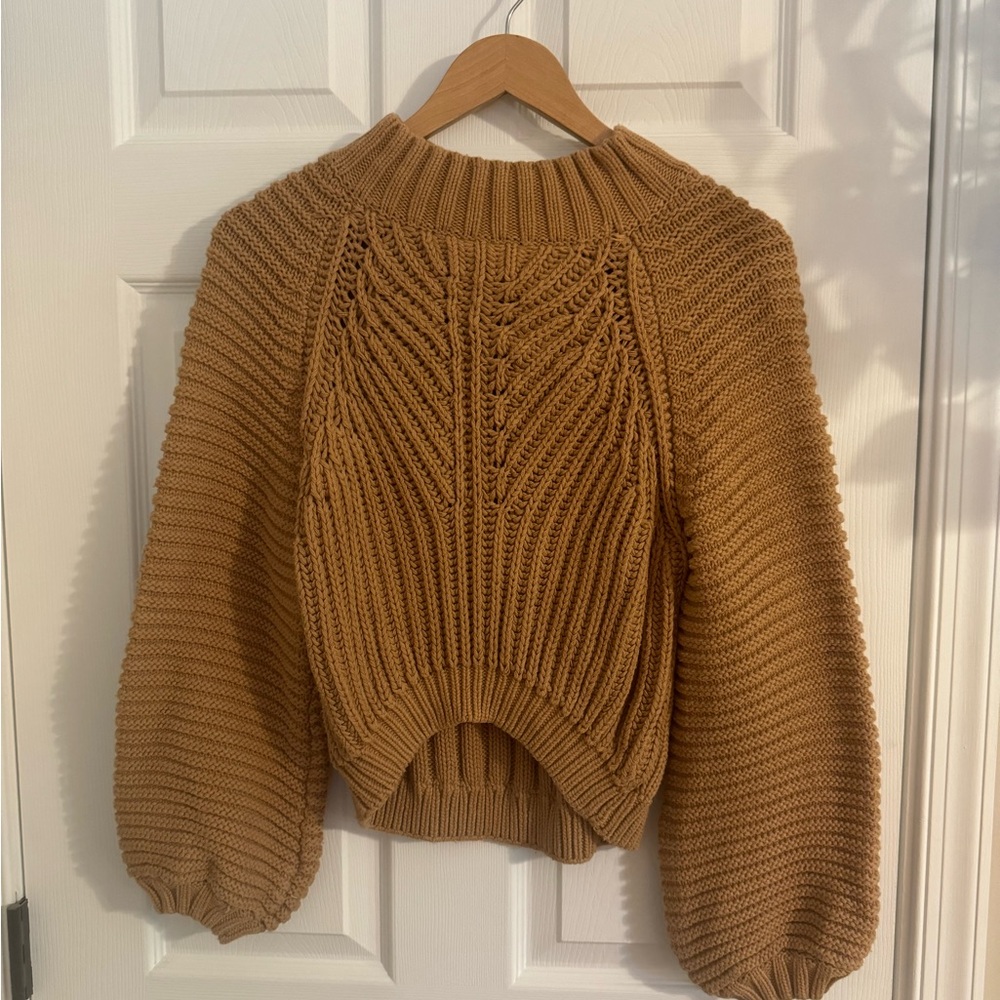 Petal & Pup Cropped Sweater